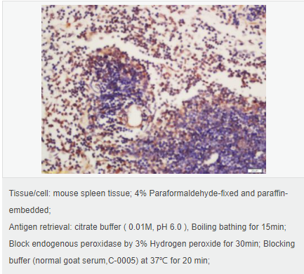 60582983e5bf8.png image.png