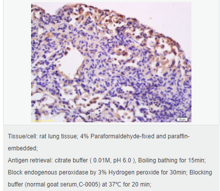 605d7eeb1e515.png image.png