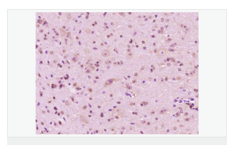 6076440886111.png image.png